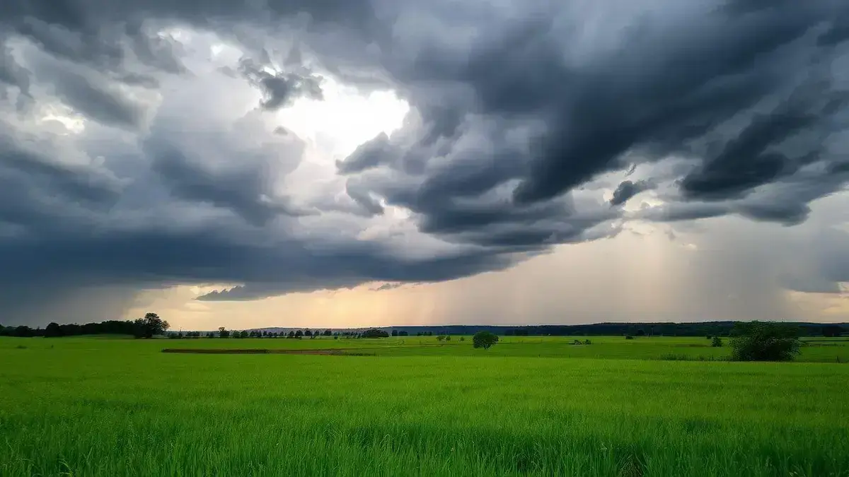 Impacto clima estresse: como driblar os desafios climáticos